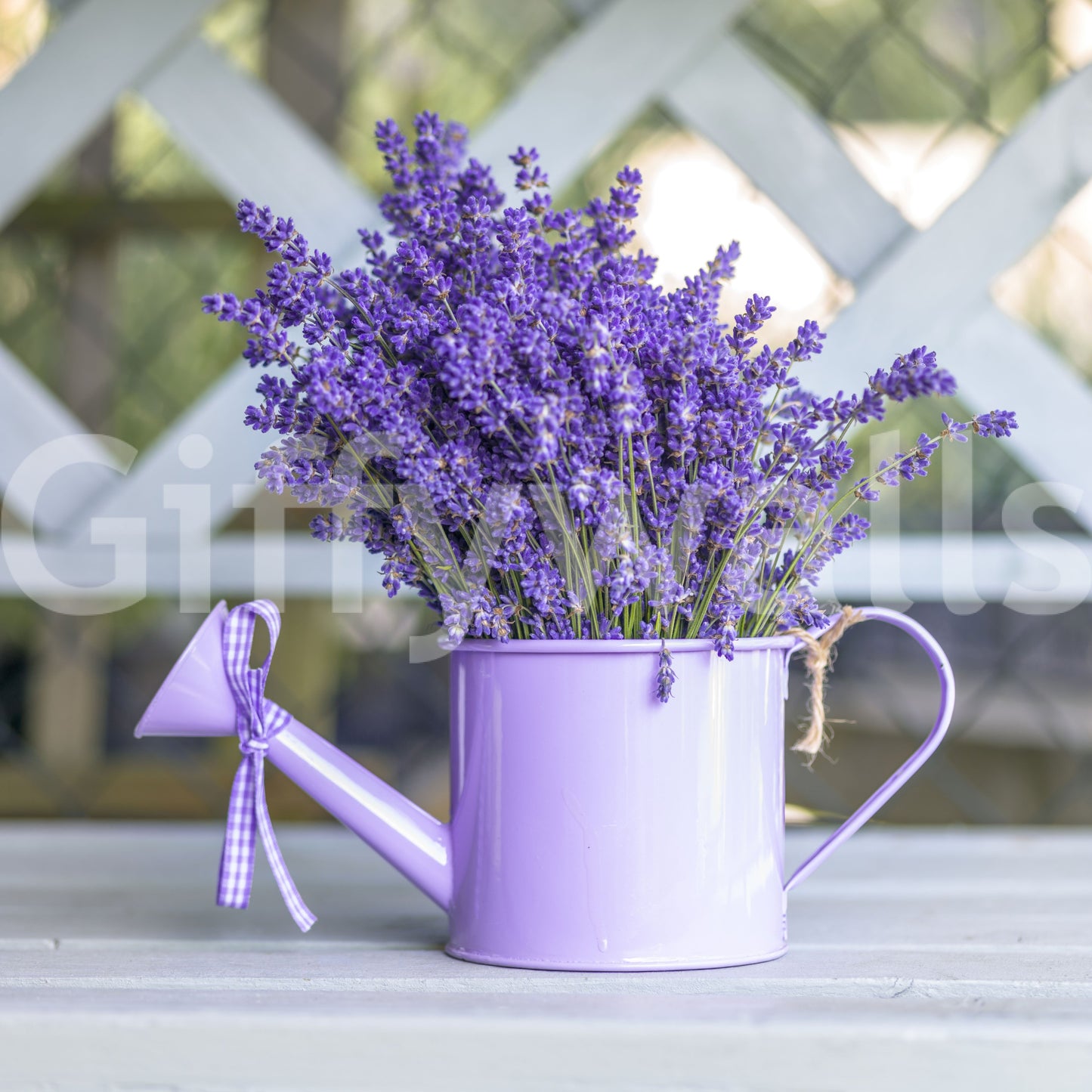 Wandbild Garten mit lila Lavendel und Gießkanne