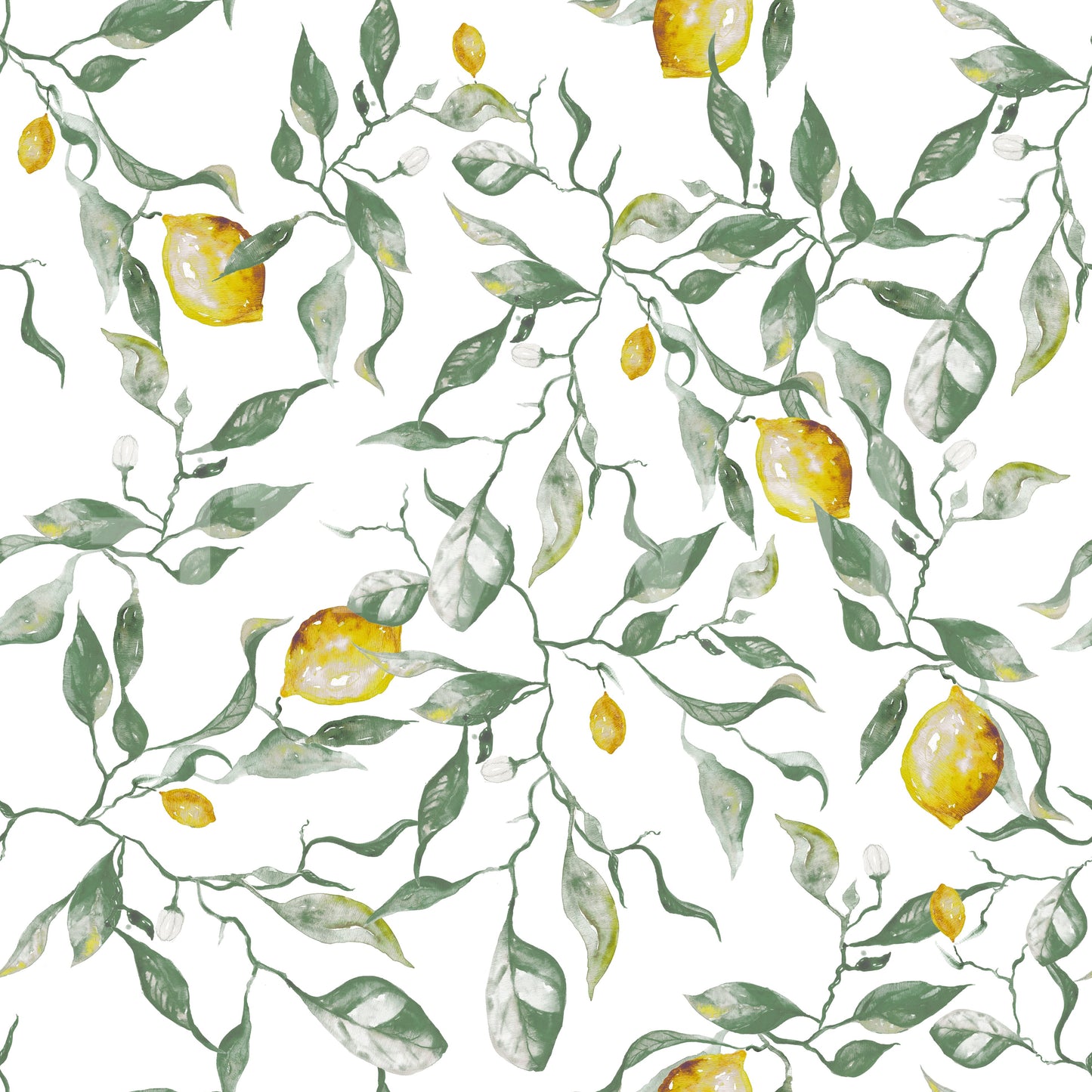 Illustratief behang met Middellandse Zee citrusboomgaard