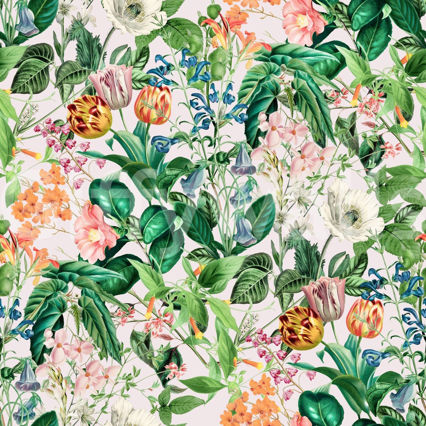Tapete mit Vintage-Illustration eines botanischen Gartens