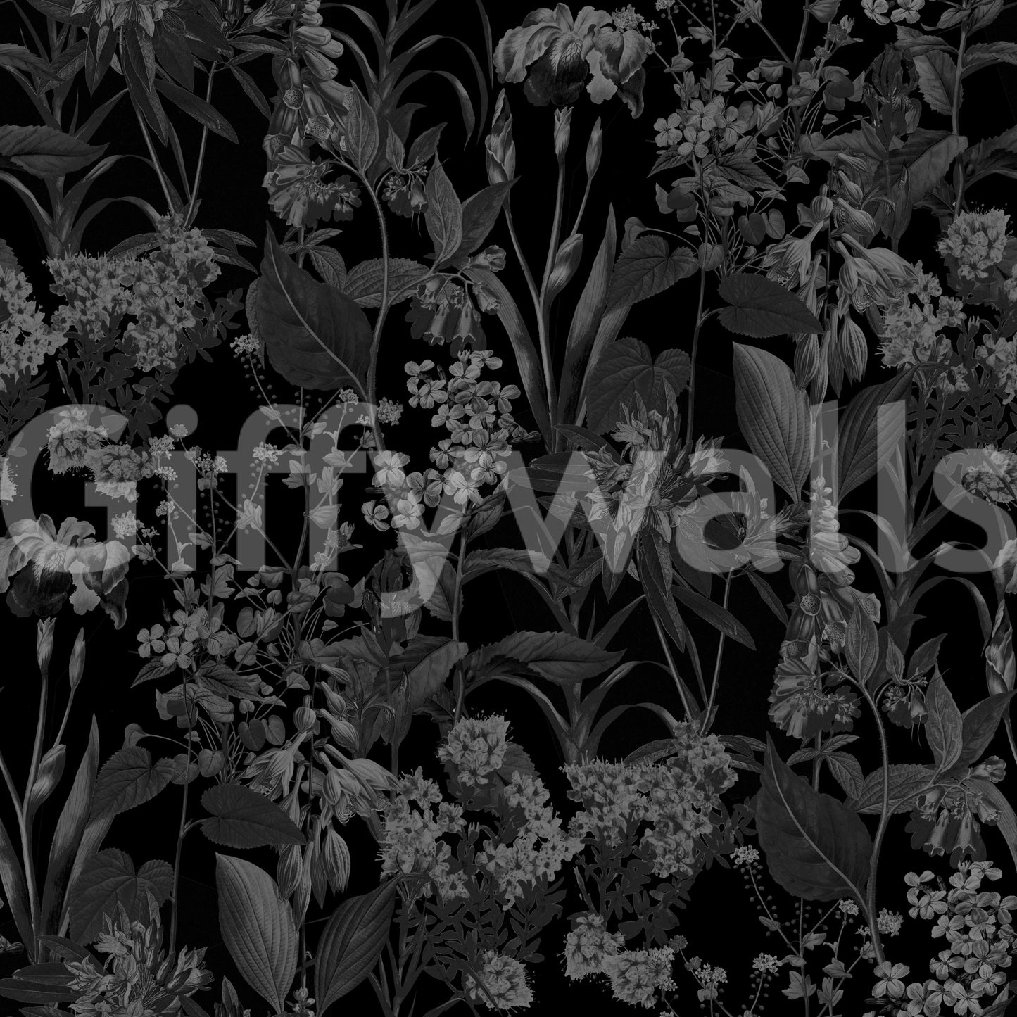 魅惑のモノクロームガーデン壁紙
