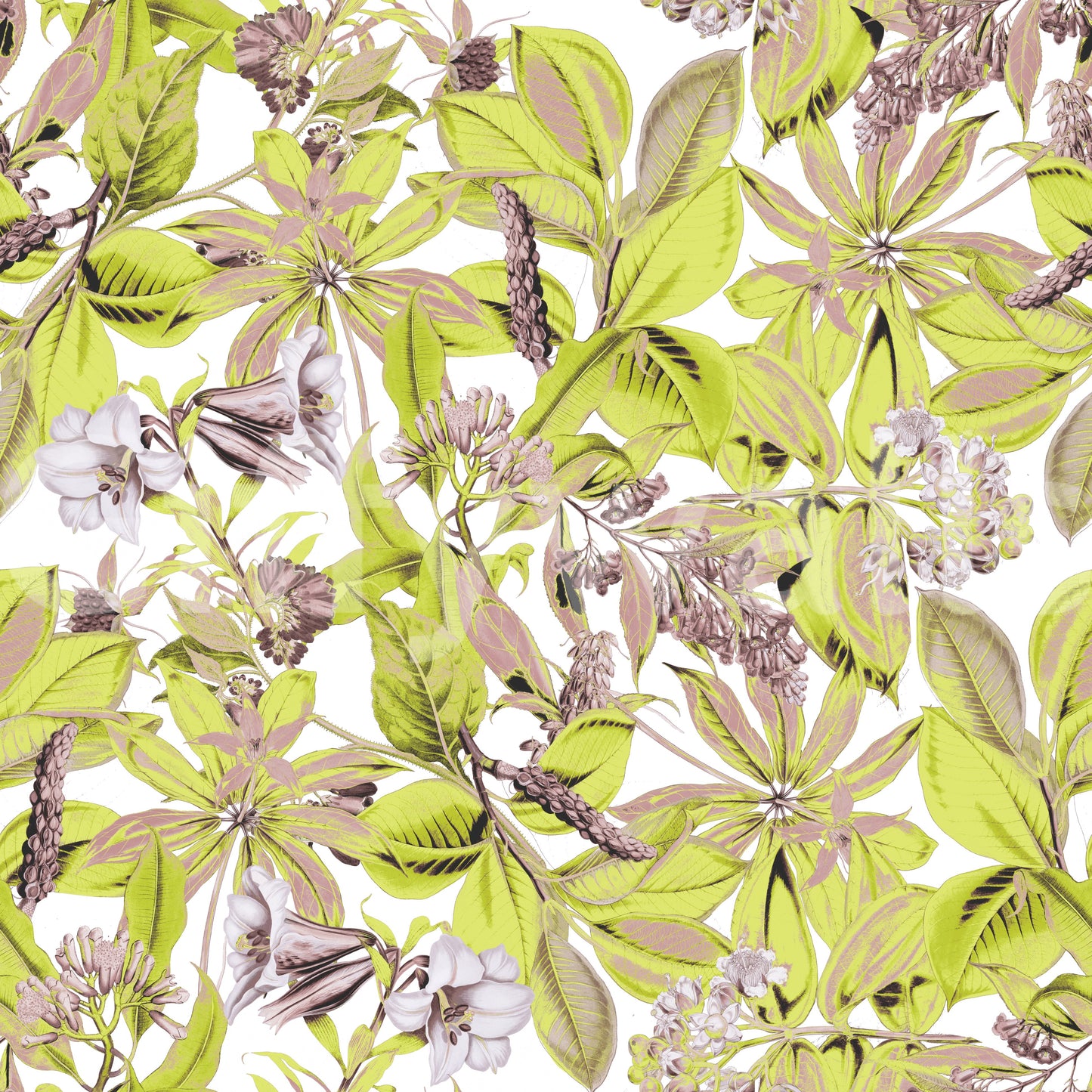 Papel tapiz de follaje de jardín botánico exuberante