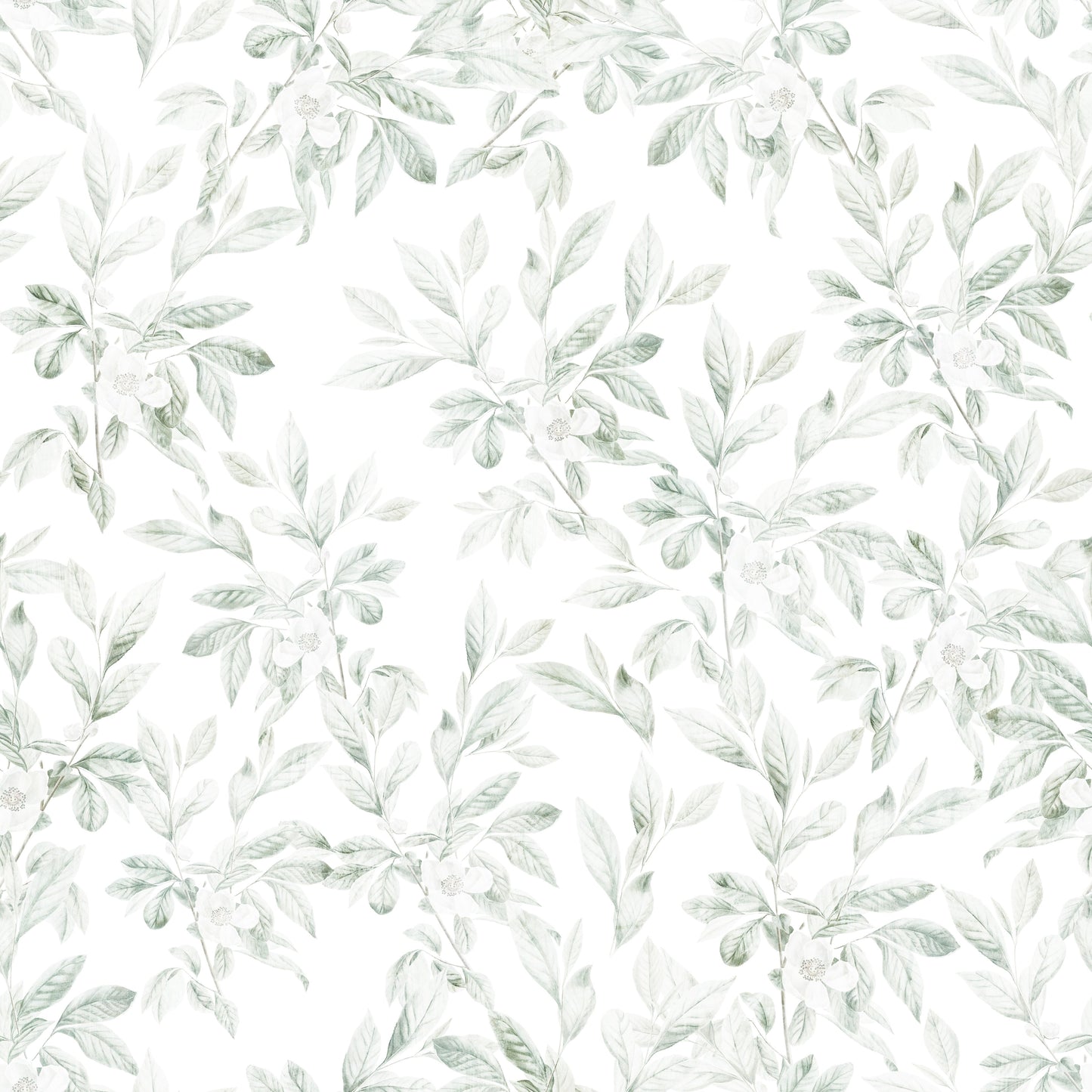 Papier peint aux motifs de feuilles vertes éthérées en gravure
