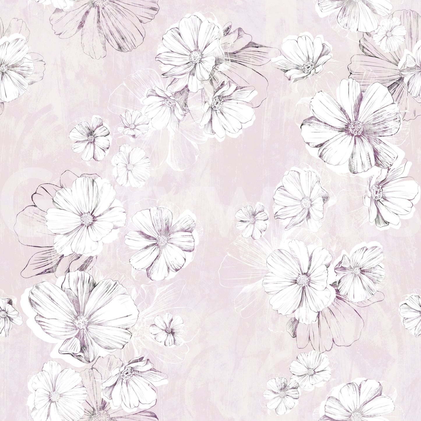 Soft Blush Botanical Illustration Wallpaper
