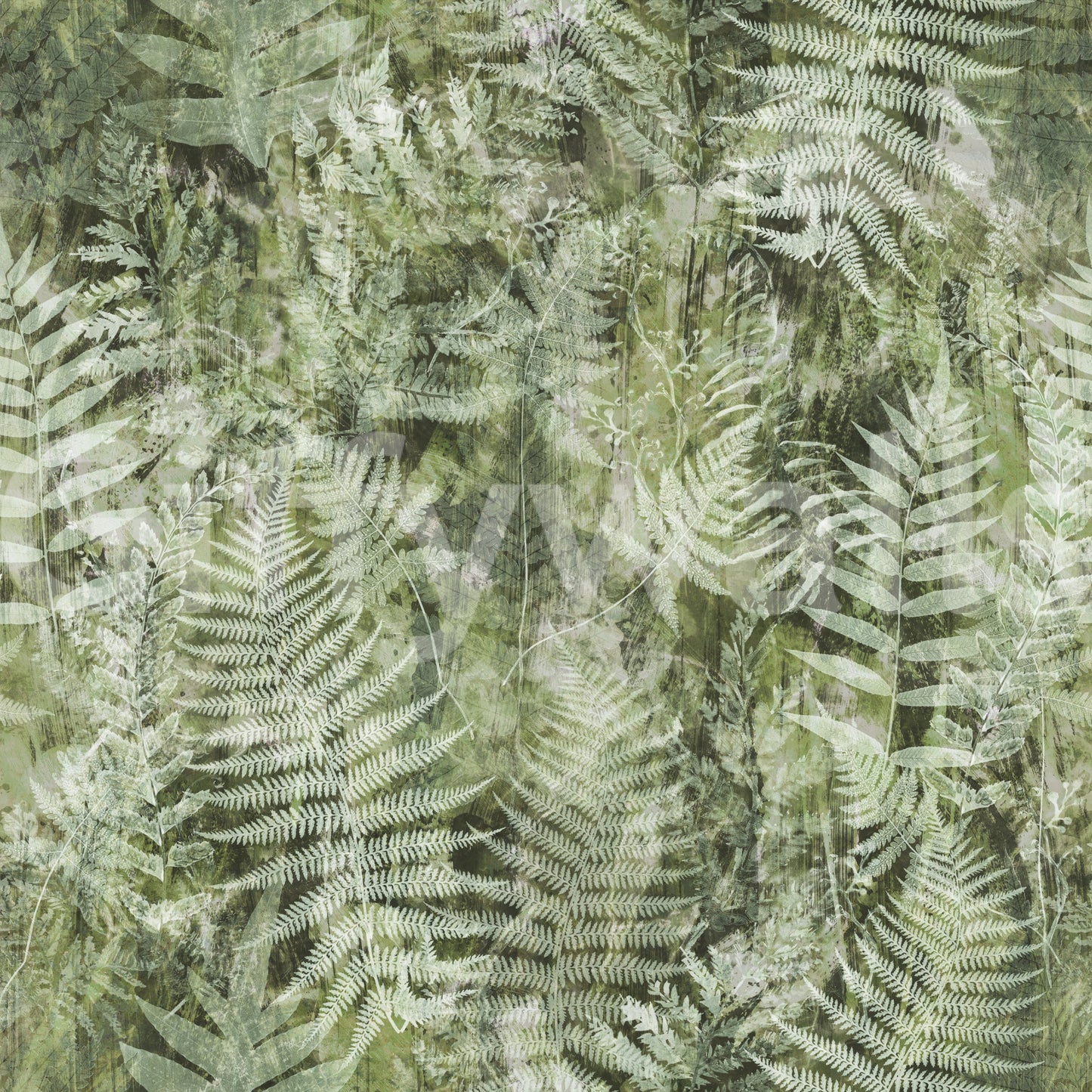 Carta da parati con stampa botanica di felci della foresta