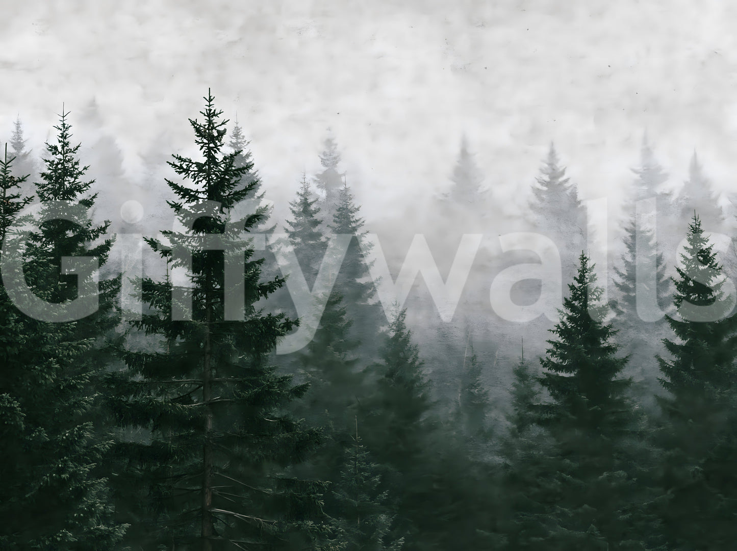 Immergrüne Wildnis im Nebel – Wandbild