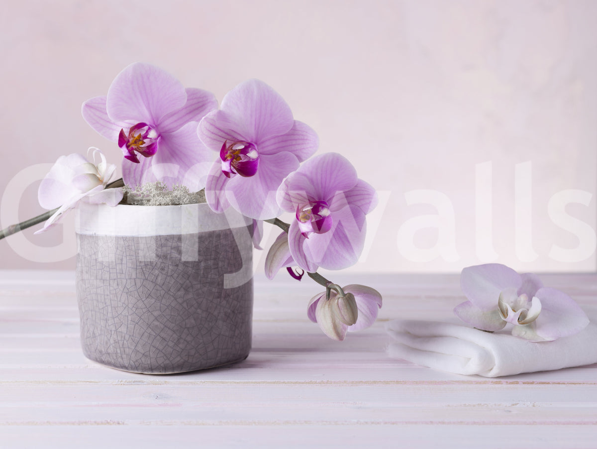 Papier peint panoramique mural représentant une nature morte minimaliste d’orchidées