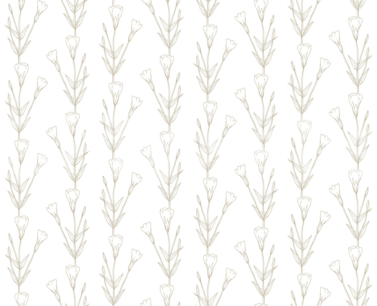 Papier peint botanique minimaliste avec dessin au trait