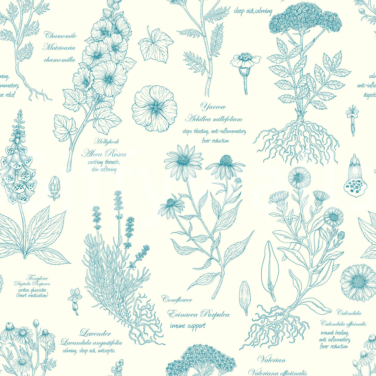 Papel tapiz con ilustración botánica de un herbario en boceto