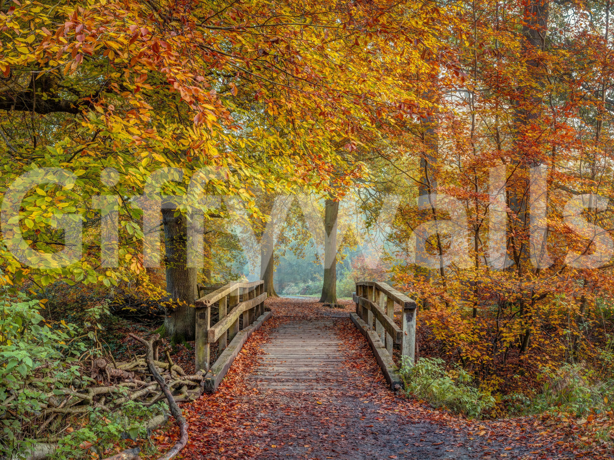 Mural panoramique mural « Passerelle sur un pont dans une forêt brumeuse »