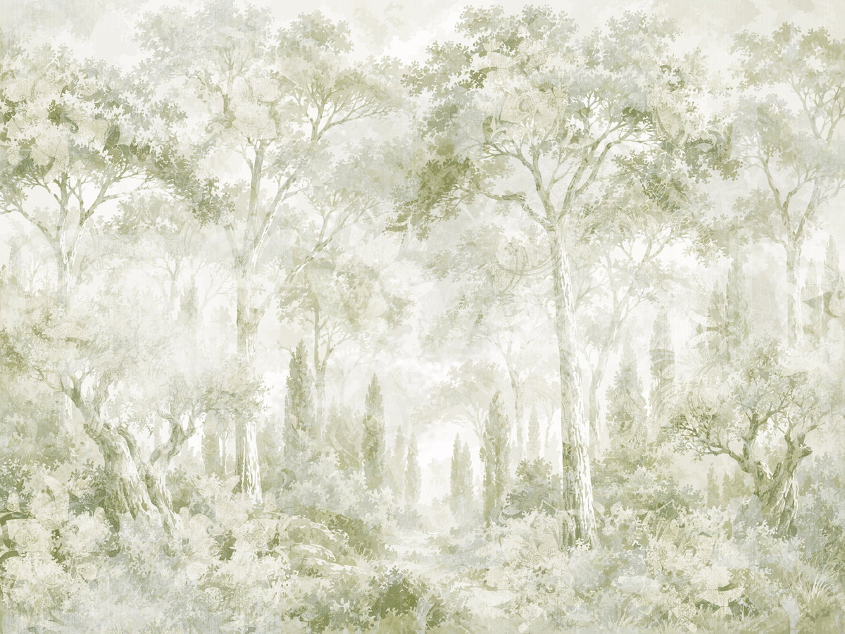 Papier peint panoramique Eucalyptus vert - sentier forestier toscan