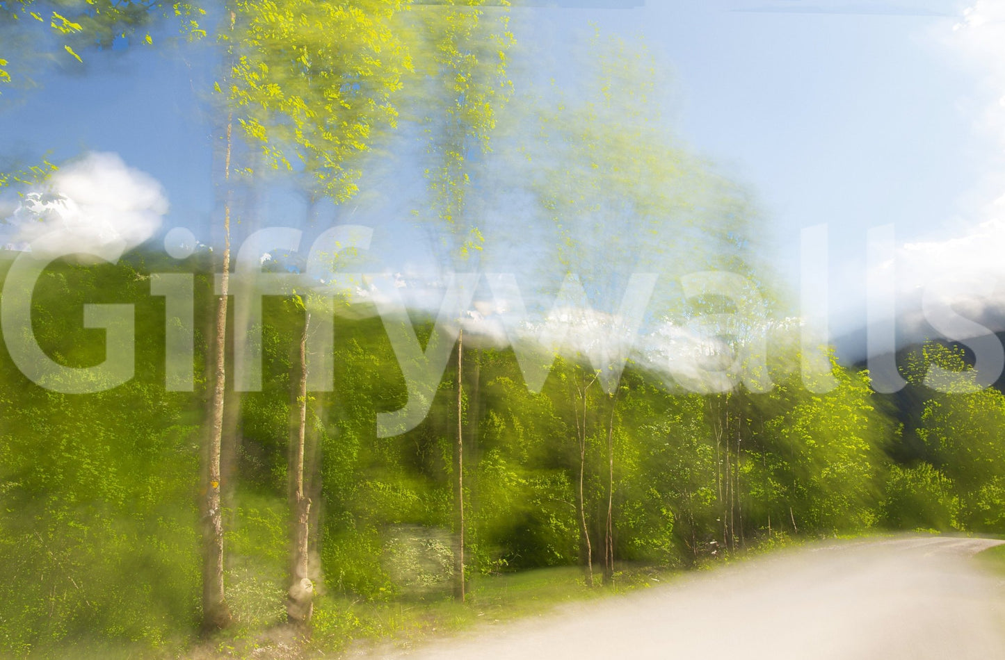 Organic sky and leaves wallpaper