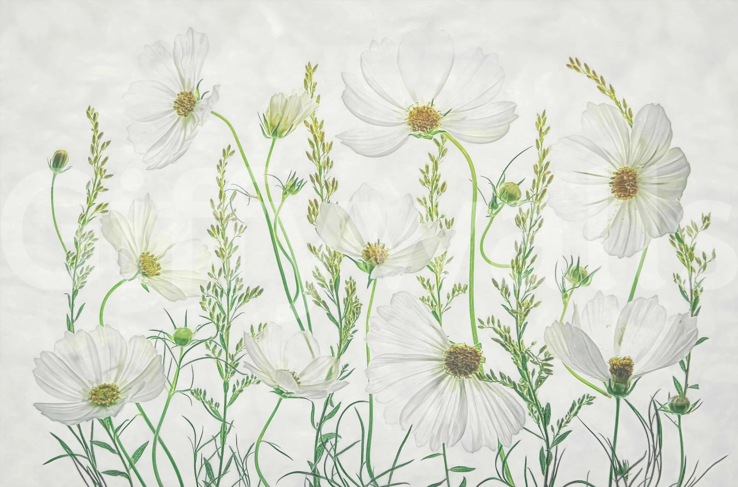 A calming floral design wallpaper mural that defines a space.
