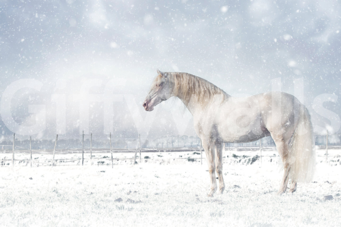 Snowdrift Horse Wall Mural -2398894