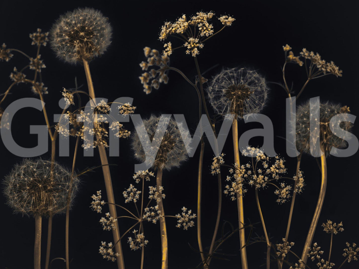 Sophisticated botanical wallpaper featuring dried wild stems and dandelion tufts against a dark background.