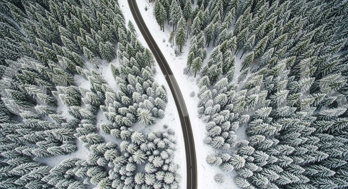 A large wall covering featuring a road lined with trees.
