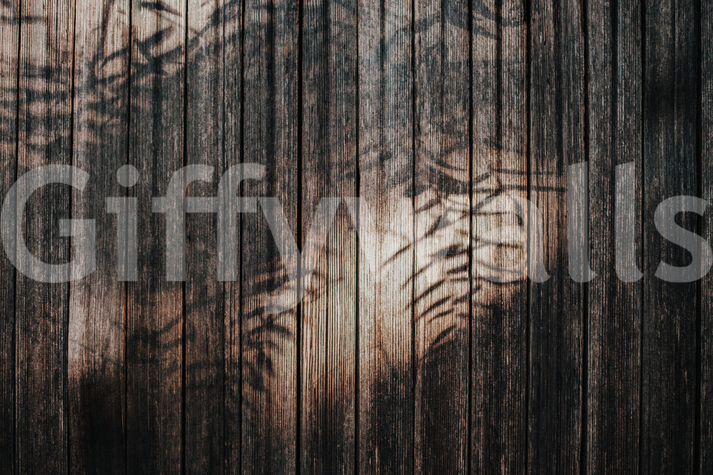 Ethereal Wood Grain Wall Mural -2226206