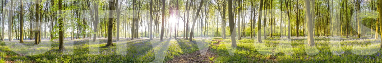 Fluid and ethereal visual.