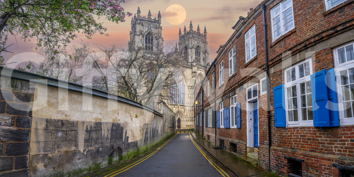 Guest room wall mural with York Minster night scene, quiet monochrome tones