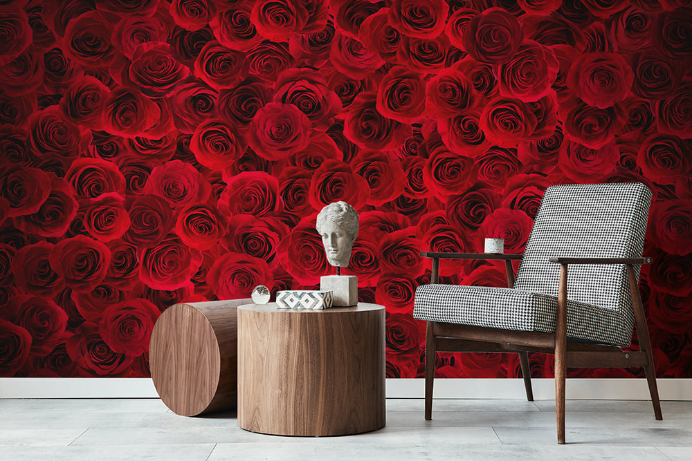 Buy Wallpaper Red Modern Minimalist Solid Color 053x95mSauce red  NonWoven Wallpaper Wall Decoration for Living Room Bedroom Online at  desertcartINDIA