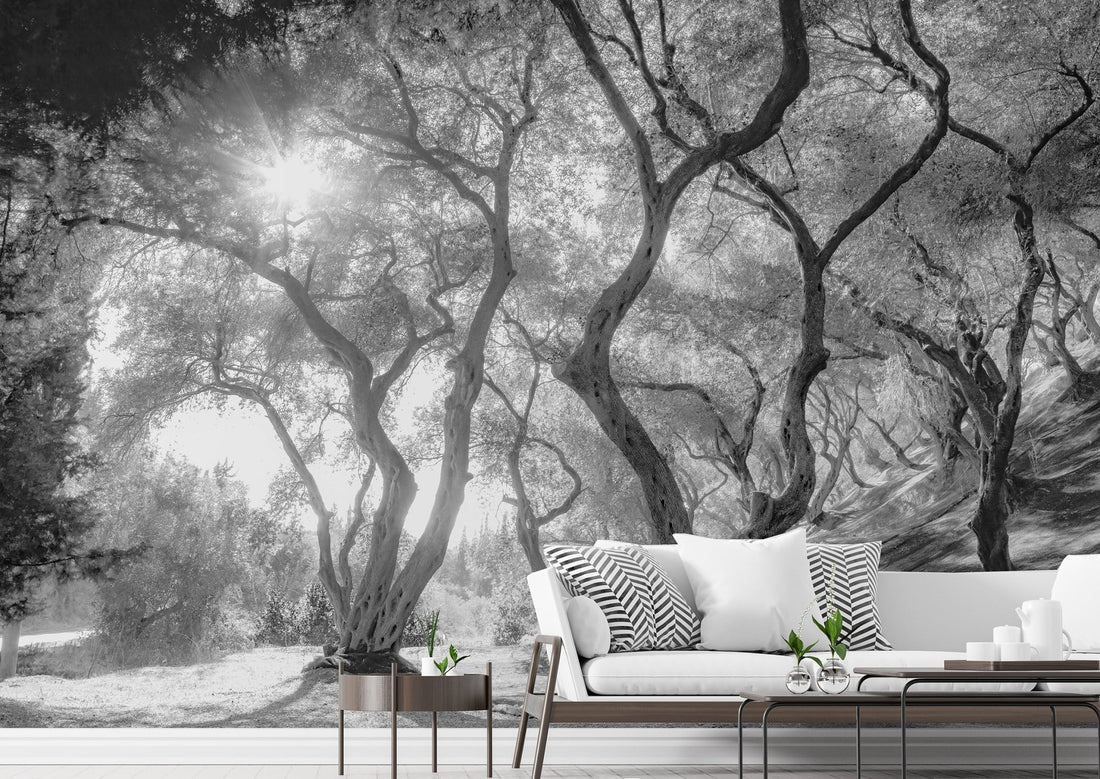 Beautiful Nature Wallpaper for Accent Walls