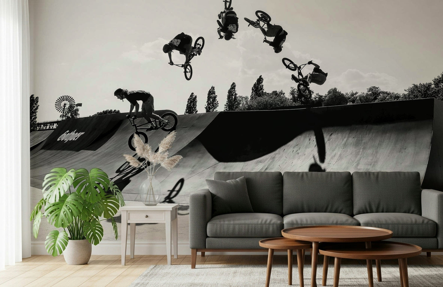 skateboard wallpaper collection with monochrome street sport bmx rider mural