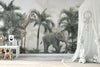 Fond d'éléphant