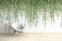 Green Hanging Ivy Leaves Wallpaper Mural - Giffywalls