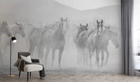 Elegant equestrian black and white wall murals
