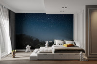 Starry Night Wallpaper Mural