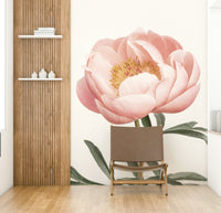 Pink bloom peony wallpaper for walls

