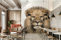 Monochrome lion wallpaper mural print

