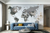 Calm and modern world map wall covering

