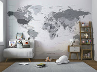 Grey world map mural for modern interiors

