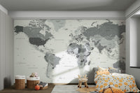 Elegant grey world map mural with intricate details

