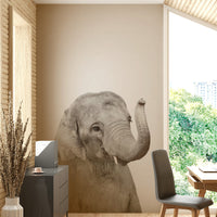Baby elephant mural with jungle background

