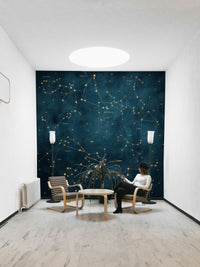 Zodiac constellations wall mural with twinkling star details.


