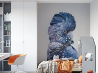 Exotic Black Cockatoo wall mural with majestic bird artwork.

