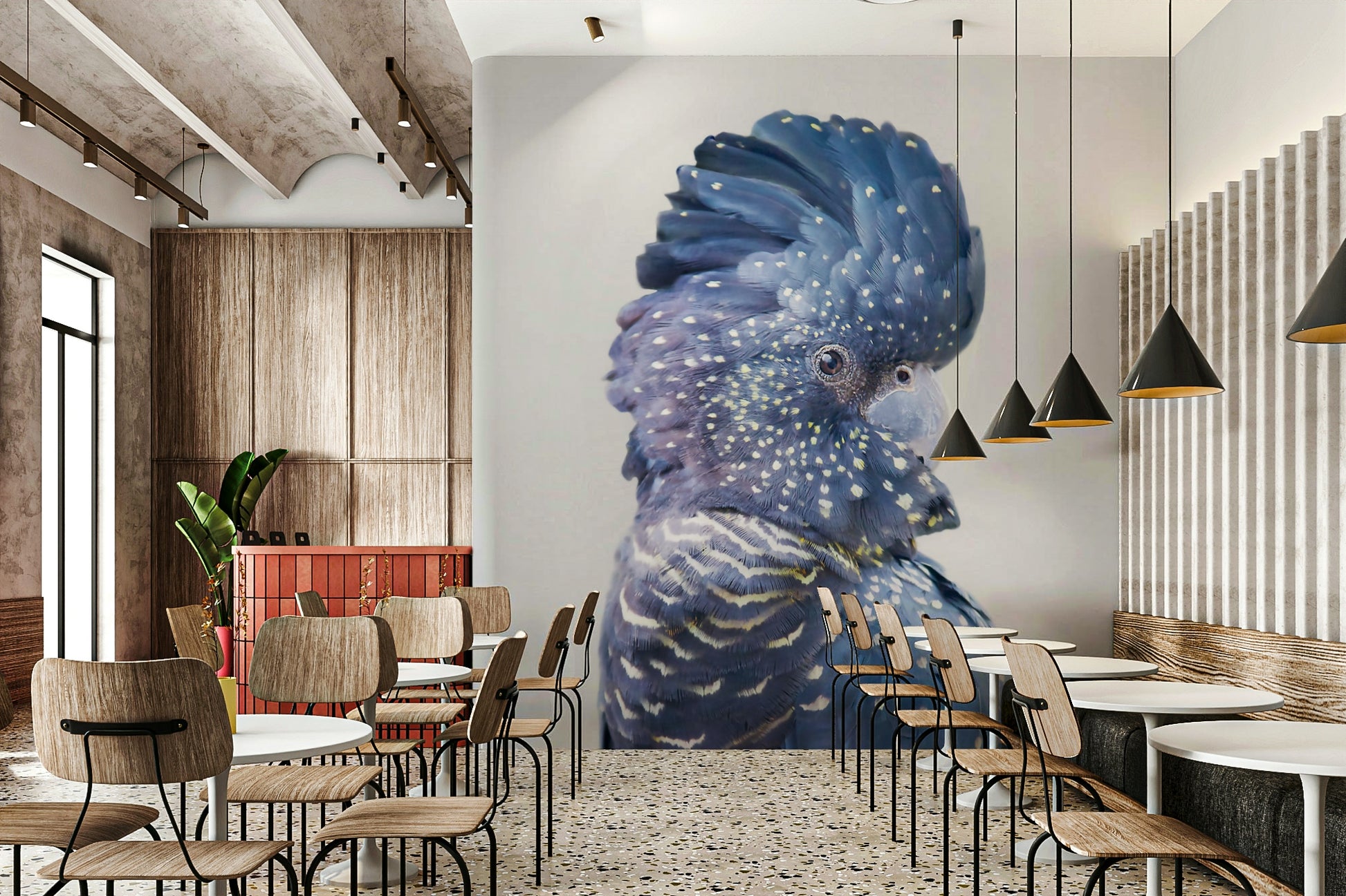 Wildlife-themed Black Cockatoo mural for a bold, natural look.


