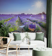 Nostalgic bike in a lavender field wall mural for peaceful rooms.

