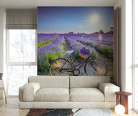 Serene vintage bike in a lavender field wall mural for decor.

