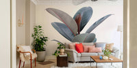 Botanical wall mural featuring ficus elastica plant


