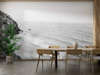 Serene California coast in monochrome mural design.

