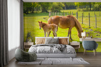 Serene horse and foal mural with rural landscape

