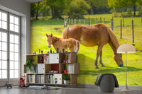 Tender horse with foal mural for peaceful interiors

