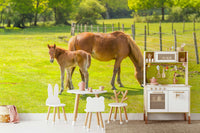 Gentle horse and foal wall mural for natural spaces

