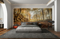 Peaceful woodland mural with cut logs

