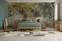 Woodland spring mural wallpaper with soft path

