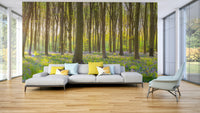 Tranquil bluebell scene wallpaper

