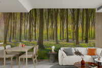 Peaceful spring glade wall mural

