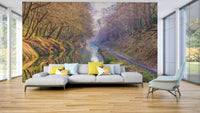 Dreamy woodland canal mural

